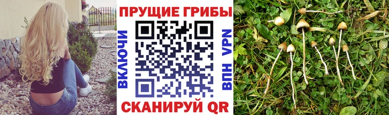 Галлюциногенные грибы мухоморы  Омск 